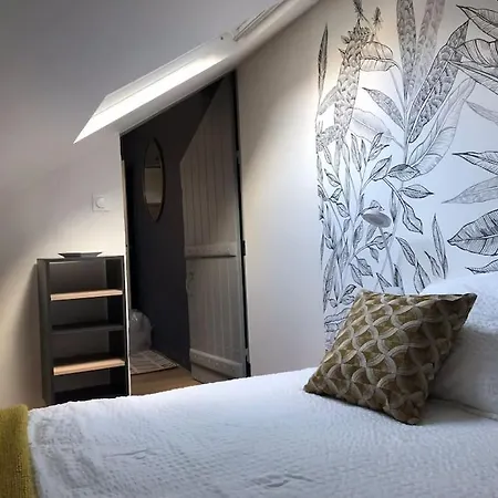 Lägenhet En Coeur De Angers